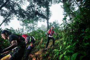 BIB: 
                            <button type="button" onclick="openModal(26202995)" class="btn btn-primary btn-sm float-right btn-popup" data-toggle="modal" data-target=".modal-high-quality">
                        <i class="fas fa-shopping-cart"></i> Add to Cart
                    </button>
                                            <button type="button" onclick="isThisMe(26202995, true)" class="btn btn-success btn-sm float-right btn-popup btn-isme hidden" data-toggle="tooltip" data-placement="bottom" title="นี่คือรูปของคุณใช่ไหม คลิกที่นี่เพื่อเอาเข้าอัลบั้ม">
                        <i class="fas fa-plus"></i> Add to album
                    </button>
                    <button type="button" onclick="isThisMe(26202995, false)" class="btn btn-warning btn-sm float-right btn-popup btn-isnotme hidden">
                        <i class="fas fa-ban"></i> Remove from album
                    </button>